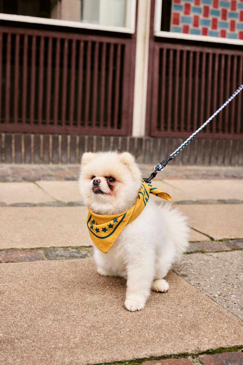 Hundetørklæde - gul